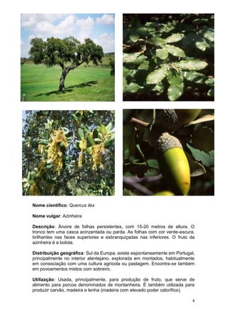 Espécies autóctones de portugal