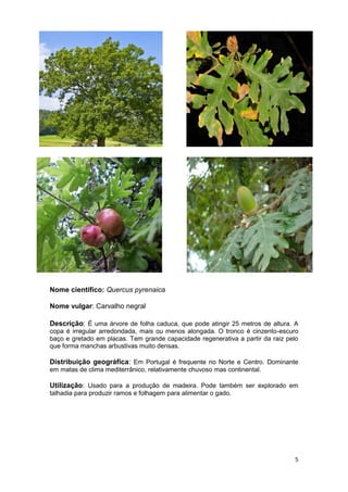 Espécies autóctones de portugal