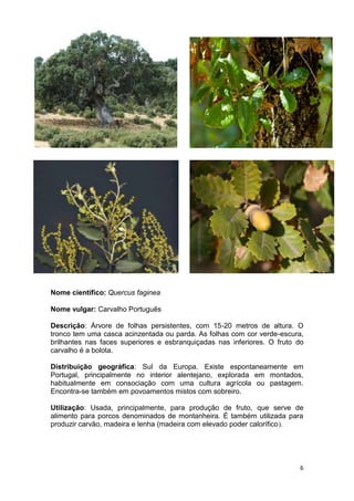 Espécies autóctones de portugal