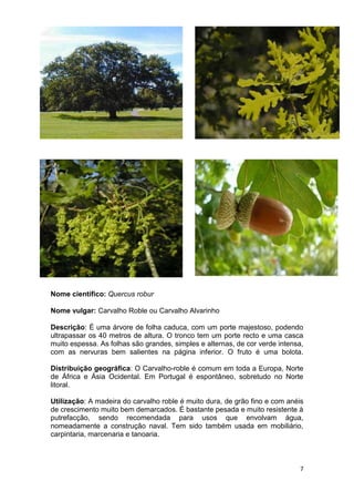 Espécies autóctones de portugal