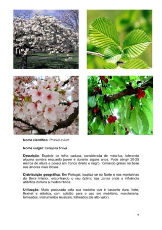 Espécies autóctones de portugal