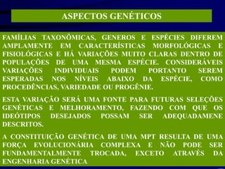 ASPECTOS GENÉTICOS
FAMÍLIAS TAXONÔMICAS, GENEROS E ESPÉCIES DIFEREM
AMPLAMENTE EM CARACTERÍSTICAS MORFOLÓGICAS E
FISIOLÓGICAS E HÁ VARIAÇÕES MUITO CLARAS DENTRO DE
POPULAÇÕES DE UMA MESMA ESPÉCIE. CONSIDERÁVEIS
VARIAÇÕES INDIVIDUAIS PODEM PORTANTO SEREM
ESPERADAS NOS NÍVEIS ABAIXO DA ESPÉCIE, COMO
PROCEDÊNCIAS, VARIEDADE OU PROGÊNIE.
ESTA VARIAÇÃO SERÁ UMA FONTE PARA FUTURAS SELEÇÕES
GENÉTICAS E MELHORAMENTO, FAZENDO COM QUE OS
IDEÓTIPOS DESEJADOS POSSAM SER ADEQUADAMENE
DESCRITOS.
A CONSTITUIÇÃO GENÉTICA DE UMA MPT RESULTA DE UMA
FORÇA EVOLUCIONÁRIA COMPLEXA E NÃO PODE SER
FUNDAMENTALMENTE TROCADA, EXCETO ATRAVÉS DA
ENGENHARIA GENÉTICA
 