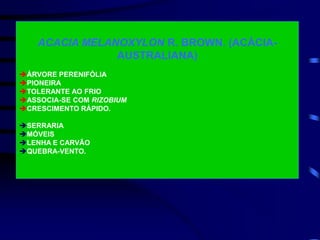 ACACIA MELANOXYLON R. BROWN. (ACÁCIA-
AUSTRALIANA)
ÁRVORE PERENIFÓLIA
PIONEIRA
TOLERANTE AO FRIO
ASSOCIA-SE COM RIZOBIUM
CRESCIMENTO RÁPIDO.
SERRARIA
MÓVEIS
LENHA E CARVÃO
QUEBRA-VENTO.
 