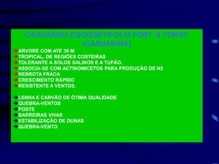 CASUARINA EQUISSETIFOLIA FORT. & FORST.
(CASUARINA)
ARVORE COM ATE 30 M
TROPICAL, DE REGIÕES COSTEIRAS
TOLERANTE A SOLOS SALINOS E A TUFÃO.
ASSOCIA-SE COM ACTINOMICETOS PARA PRODUÇÃO DE N2
REBROTA FRACA
CRESCIMENTO RÁPIDO
RESISTENTE A VENTOS.
LENHA E CARVÃO DE ÓTIMA QUALIDADE
QUEBRA-VENTOS
POSTE
BARREIRAS VIVAS
ESTABILIZAÇÃO DE DUNAS
QUEBRA-VENTO
 