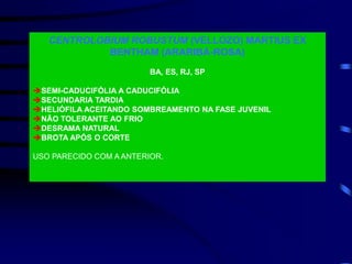 CENTROLOBIUM ROBUSTUM (VELLOZO) MARTIUS EX
BENTHAM (ARARIBÁ-ROSA)
BA, ES, RJ, SP
SEMI-CADUCIFÓLIA A CADUCIFÓLIA
SECUNDARIA TARDIA
HELIÓFILA ACEITANDO SOMBREAMENTO NA FASE JUVENIL
NÃO TOLERANTE AO FRIO
DESRAMA NATURAL
BROTA APÓS O CORTE
USO PARECIDO COM A ANTERIOR.
 