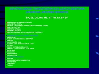 CENTROLOBIUM TOMENTOSUM GUILLEM EX BENTHAM
(ARARUVA, ARARIBÁ-BRANCO)
BA, ES, GO, MG, MS, MT, PR, RJ, SP, DF
PERENIFÓLIA A SEMI-CADUCIFÓLIA
SECUNDARIA INICIAL
HELIÓFILA ACEITANDO SOMBREAMENTO NA FASE JUVENIL
NÃO TOLERA FRIO
REBROTA INTENSA
DESRAMA NATURAL
SISTEMA RADICIAL ACENTUADAMENTE PIVOTANTE
ARBORIZAÇÃO DE CULTURAS E PASTAGENS
ALIMENTAR
CABOS DE FERRAMENTAS E ENXADA
CERCAS
CONSTRUÇÃO CIVIL
CARPINTARIA, MARCENARIA DE LUXO
ESTEIOS
HÉLICE DE PEQUENOS AVIÕES
LENHA E CARVÃO DE BOA QUALIDADE
MEDICINAL
MOURÕES
MÓVEIS FINOS
ORNAMENTAL
PLANTIO DE PROTEÇÃO
POSTES
REFLORESTAMENTO AMBIENTAL
TORNEADOS
TANOARIA
TANINO
 