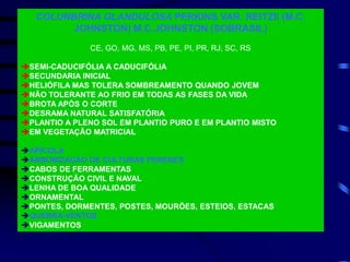 COLUNBRINA GLANDULOSA PERKINS VAR. REITZII (M.C.
JOHNSTON) M.C.JOHNSTON (SOBRASIL)
CE, GO, MG, MS, PB, PE, PI, PR, RJ, SC, RS
SEMI-CADUCIFÓLIA A CADUCIFÓLIA
SECUNDARIA INICIAL
HELIÓFILA MAS TOLERA SOMBREAMENTO QUANDO JOVEM
NÃO TOLERANTE AO FRIO EM TODAS AS FASES DA VIDA
BROTA APÓS O CORTE
DESRAMA NATURAL SATISFATÓRIA
PLANTIO A PLENO SOL EM PLANTIO PURO E EM PLANTIO MISTO
EM VEGETAÇÃO MATRICIAL
APÍCOLA
ARBORIZAÇÃO DE CULTURAS PERENES
CABOS DE FERRAMENTAS
CONSTRUÇÃO CIVIL E NAVAL
LENHA DE BOA QUALIDADE
ORNAMENTAL
PONTES, DORMENTES, POSTES, MOURÕES, ESTEIOS, ESTACAS
QUEBRA-VENTOS
VIGAMENTOS
 