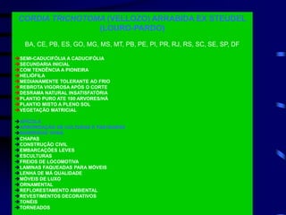 CORDIA TRICHOTOMA (VELLOZO) ARRABIDA EX STEUDEL
(LOURO-PARDO)
BA, CE, PB, ES, GO, MG, MS, MT, PB, PE, PI, PR, RJ, RS, SC, SE, SP, DF
SEMI-CADUCIFÓLIA A CADUCIFÓLIA
SECUNDARIA INICIAL
COM TENDÊNCIA A PIONEIRA
HELIÓFILA
MEDIANAMENTE TOLERANTE AO FRIO
REBROTA VIGOROSA APÓS O CORTE
DESRAMA NATURAL INSATISFATÓRIA
PLANTIO PURO ATE 100 ARVORES/HÁ
PLANTIO MISTO A PLENO SOL
VEGETAÇÃO MATRICIAL
APÍCOLA
ARBORIZAÇÃO DE CULTURAS E PASTAGENS
BARREIRAS VIVAS
CHAPAS
CONSTRUÇÃO CIVIL
EMBARCAÇÕES LEVES
ESCULTURAS
FREIOS DE LOCOMOTIVA
LAMINAS FAQUEADAS PARA MÓVEIS
LENHA DE MÁ QUALIDADE
MÓVEIS DE LUXO
ORNAMENTAL
REFLORESTAMENTO AMBIENTAL
REVESTIMENTOS DECORATIVOS
TONÉIS
TORNEADOS
 