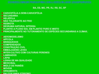 SCHIZOLOBIUM PARAHYBA (VELLOZO) BLAKE (GUAPURUVU)
BA, ES, MG, PR, RJ, RS, SC, SP
CADUCIFÓLIA A SEMI-CADUCIFÓLIA
SECUNDARIA
HELIÓFILA
NÃO TOLERANTE AO FRIO
REBROTA
DESRAMA NATURAL INTENSA
PLANTIO A PLENO SOL EM PLANTIO PURO E MISTO
PRINCIPALMENTE NO TUTORAMENTO DE ESPÉCIES SECUNDARIAS A CLÍMAX.
AEROMODELISMO
APÍCOLA
BRINQUEDOS
COMPENSADOS
CONSTRUÇÃO CIVIL
EMBALAGENS LEVES
INTER-CULTIVO COM CULTURAS PERENES
LAMINADOS
LÁPIS
LENHA DE MA QUALIDADE
MEDICINAL
MIOLO DE PAINÉIS
MÓVEIS
ORNAMENTA
 