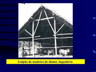 Galpão de madeira de álamo. Iugoslávia.
 