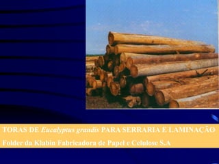 TORAS DE Eucalyptus grandis PARA SERRARIA E LAMINAÇÃO
Folder da Klabin Fabricadora de Papel e Celulose S.A
 