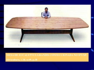 MESA DE EUCALYPTUS GRANDIS CONFECCIONADA NO IPT/SP.
Silvicultura, v.18, n.69, p.18
 