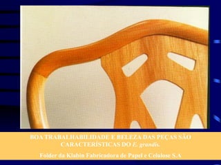 BOA TRABALHABILIDADE E BELEZA DAS PEÇAS SÃO
CARACTERÍSTICAS DO E. grandis.
Folder da Klabin Fabricadora de Papel e Celulose S.A
 