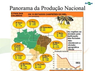 Panorama da Produção Nacional
 