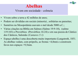 Abelhas
             Vivem em sociedade - colmeia

• Vivem sobre a terra a 42 milhões de anos;
• Podem ser divididas em sociais (minoria) , solitárias ou parasitas;
• Sumérios na Mesopotâmia usavam o mel desde 5000 a.C.;
• Várias citações na Bíblia em Salmos (Salmo 19:9-10), (salmo
  119:103) e Provérbios (Provérbios 16:24) e em sua poesia de Cântico
  dos Cânticos, Salomão (Cantares 5:1)
• Espaço-abelha é uma descoberta muito importante (Langstroth, 1851.
  As abelhas vedam, com própolis, as frestas <4,8mm e constroem
  favos nos espaços >9,5mm.
 