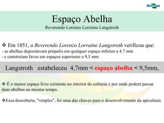 Espaço Abelha
                       Reverendo Lorenzo Lorraine Langstroth


 Em 1851, o Reverendo Lorenzo Lorraine Langstroth verificou que:
- as abelhas depositavam própolis em qualquer espaço inferior a 4,7 mm
- e construíam favos em espaços superiores a 9,5 mm.

 Langstroth estabeleceu 4,7mm < espaço abelha < 9,5mm,

 É o menor espaço livre existente no interior da colmeia e por onde podem passar
duas abelhas ao mesmo tempo.

Essa descoberta, "simples", foi uma das chaves para o desenvolvimento da apicultura
 