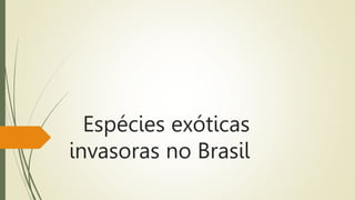 Espécies exóticas
invasoras no Brasil
 