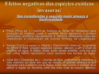 Efeitos negativos das espécies exóticas
                  invasoras:
            São consideradas a segunda maior ameaça à
                         biodiversidade.


   Pinus (Pinus sp. ) - nativo da América do Norte, foi introduzido para
    produção de madeira, papel e celulose. Muito agressiva, o pinheiro
    americano prolifera rapidamente e domina ambientes naturais,
    impedindo a instalação de outras formas de vegetação.

   Carpas (Cyprinus carpio) e Tilápias ( Oreochromis niloticus) - originárias
    da África e Ásia, predam espécies nativas, alteram o pH e nível de
    oxigênio da água. A tilápia, ainda, pode causar erosões, uma vez que
    tem como hábito reprodutivo cavar buracos nas bordas de lagos.

   Coral Sol (Tubastraea sp.) – oriunda da Ásia, praticamente extermina a
    vida marinha no local em que se instala. A grande ameaça é sua
    migração para o extremo sul da Bahia. Caso isso ocorra, a espécie deve
    alterar a região de Abrolhos, uma das mais ricas do oceano atlântico.
 