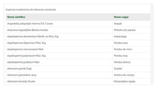 Espécies Florestais.pptx