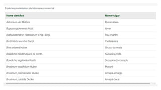 Espécies Florestais.pptx