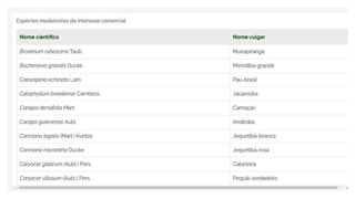 Espécies Florestais.pptx