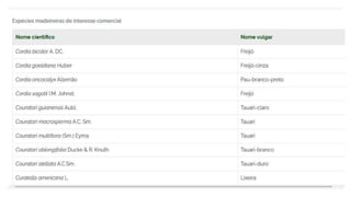 Espécies Florestais.pptx