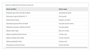Espécies Florestais.pptx