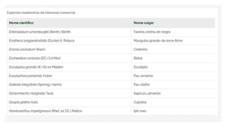 Espécies Florestais.pptx
