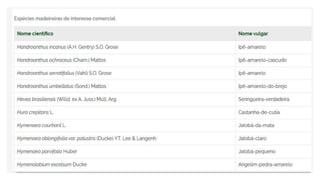 Espécies Florestais.pptx
