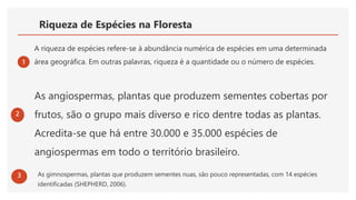 Riqueza de Espécies na Floresta
1
A riqueza de espécies refere-se à abundância numérica de espécies em uma determinada
área geográfica. Em outras palavras, riqueza é a quantidade ou o número de espécies.
2
As angiospermas, plantas que produzem sementes cobertas por
frutos, são o grupo mais diverso e rico dentre todas as plantas.
Acredita-se que há entre 30.000 e 35.000 espécies de
angiospermas em todo o território brasileiro.
3 As gimnospermas, plantas que produzem sementes nuas, são pouco representadas, com 14 espécies
identificadas (SHEPHERD, 2006).
 