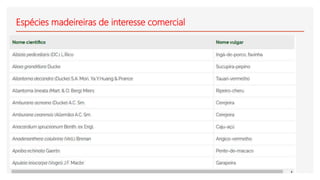 Espécies madeireiras de interesse comercial
 