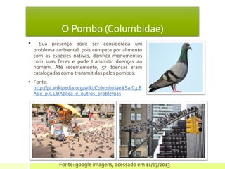 O Pombo (Columbidae)
• Sua presença pode ser considerada um
problema ambiental, pois compete por alimento
com as espécies nativas, danifica monumentos
com suas fezes e pode transmitir doenças ao
homem. Até recentemente, 57 doenças eram
catalogadas como transmitidas pelos pombos;
• Fonte:
http://pt.wikipedia.org/wiki/Columbidae#Sa.C3.B
Ade_p.C3.BAblica_e_outros_problemas
Fonte: google imagens, acessado em 11/07/2013
 