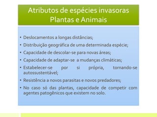 Atributos de espécies invasoras
Plantas e Animais
• Deslocamentos a longas distâncias;
• Distribuição geográfica de uma determinada espécie;
• Capacidade de descolar-se para novas áreas;
• Capacidade de adaptar-se a mudanças climáticas;
• Estabelecer-se por si própria, tornando-se
autossustentável;
• Resistência a novos parasitas e novos predadores;
• No caso só das plantas, capacidade de competir com
agentes patogênicos que existem no solo.
 