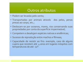 Outros atributos
• Podem ser levadas pelo vento;
• Transportadas por animais através dos pelos, penas
presas ao corpo, etc.;
• Deslocam-se por oceanos, mares, rios conservando suas
propriedades por conta da superfície impermeável;
• Competem e desalojam espécies nativas e endêmicas;
• Sucesso de reprodução entre machos e fêmeas;
• Capacidade de resistir ao frio: exemplo, caso de alguns
cupins que resistem até 4 anos em lugares inóspitos com
temperaturas de até -22°.
 