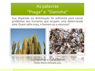 As palavras
“Praga” e “Daninha”
Sua dispersão ou distribuição foi suficiente para causar
problemas aos humanos que ocupam uma determinada
área. Quem sofre mais, o homem ou a natureza?
Cochonilhas e Gafanhotos
Fonte: Akene Shionara 2012
 