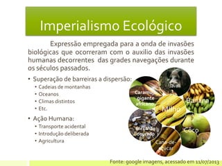 Expressão empregada para a onda de invasões
biológicas que ocorreram com o auxilio das invasões
humanas decorrentes das grades navegações durante
os séculos passados.
• Superação de barreiras a dispersão:
• Cadeias de montanhas
• Oceanos
• Climas distintos
• Etc.
• Ação Humana:
• Transporte acidental
• Introdução deliberada
• Agricultura
Imperialismo Ecológico
Côco
Banana
Cana-de-
açúcar
Mexilhão
dourado
Caramujo
gigante
africano.
Fonte: google imagens, acessado em 11/07/2013
Javali
MIlho
 