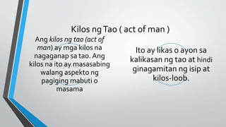 Kilos ngTao ( act of man )
Ang kilos ng tao (act of
man) ay mga kilos na
nagaganap sa tao. Ang
kilos na ito ay masasabing
walang aspekto ng
pagiging mabuti o
masama
Ito ay likas o ayon sa
kalikasan ng tao at hindi
ginagamitan ng isip at
kilos-loob.
 