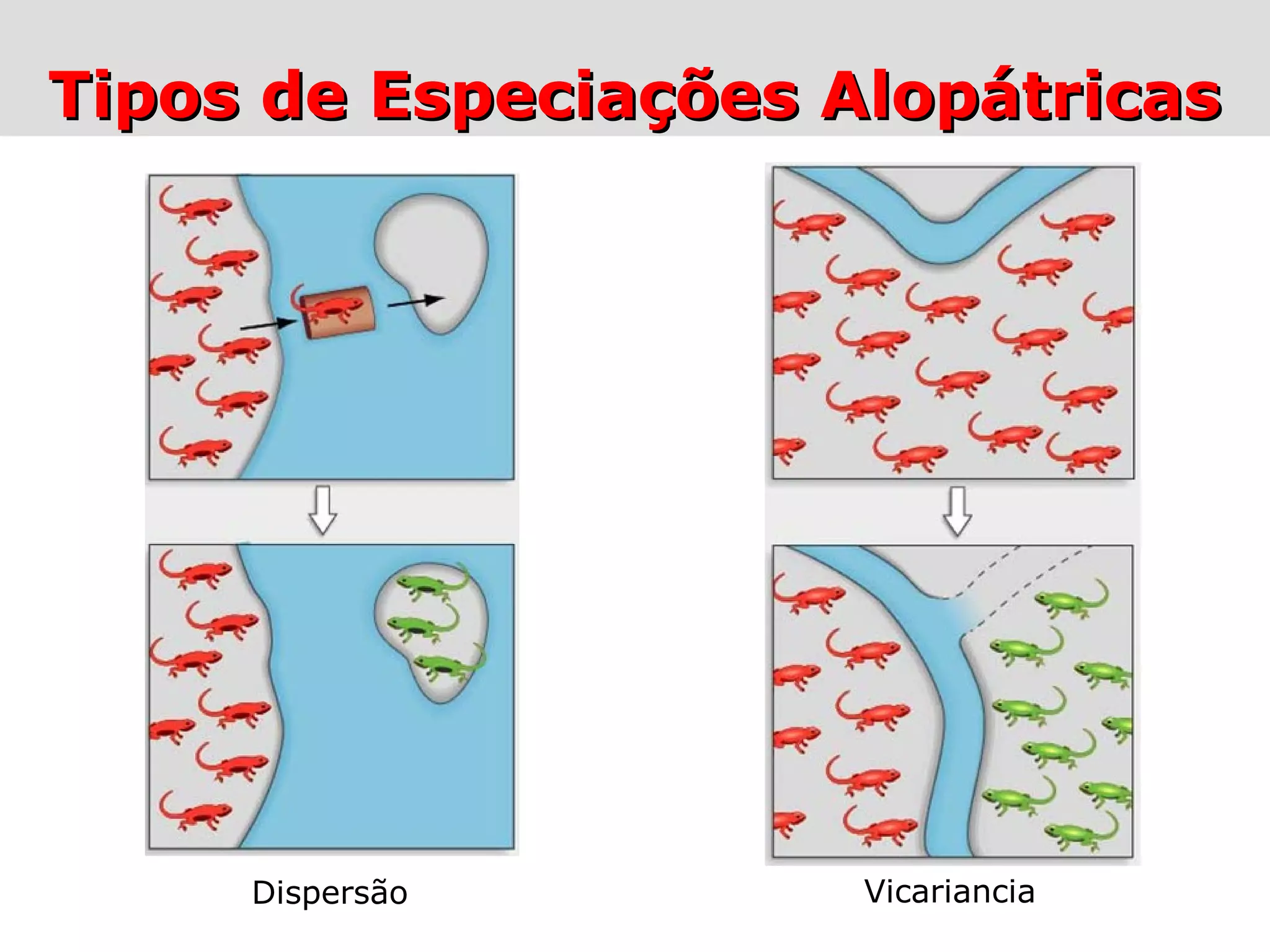 Especiação