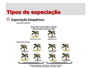  Especiação Simpátrica:
Tipos de especiaçãoTipos de especiação
 