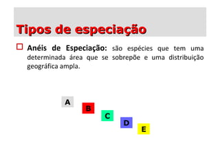  Anéis de Especiação: são espécies que tem uma
determinada área que se sobrepõe e uma distribuição
geográfica ampla.
E
D
C
A
B
Tipos de especiaçãoTipos de especiação
 