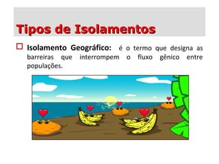 Tipos de IsolamentosTipos de Isolamentos
 Isolamento Geográfico: é o termo que designa as
barreiras que interrompem o fluxo gênico entre
populações.
 