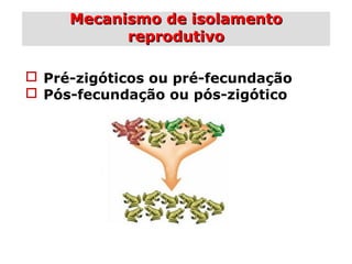  Pré-zigóticos ou pré-fecundação
 Pós-fecundação ou pós-zigótico
Mecanismo de isolamentoMecanismo de isolamento
reprodutivoreprodutivo
 
