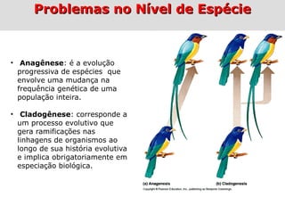 • Anagênese: é a evolução
progressiva de espécies que
envolve uma mudança na
frequência genética de uma
população inteira.
• Cladogênese: corresponde a
um processo evolutivo que
gera ramificações nas
linhagens de organismos ao
longo de sua história evolutiva
e implica obrigatoriamente em
especiação biológica.
Problemas no Nível de EspécieProblemas no Nível de Espécie
 