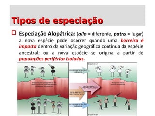  Especiação Alopátrica: (allo = diferente, patris = lugar)
a nova espécie pode ocorrer quando uma barreira é
imposta dentro da variação geográfica contínua da espécie
ancestral; ou a nova espécie se origina a partir de
populações periférica isoladas.
Tipos de especiaçãoTipos de especiação
 