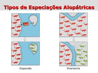Tipos de Especiações AlopátricasTipos de Especiações Alopátricas
Dispersão Vicariancia
 