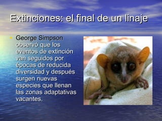 Extinciones: el final de un linajeExtinciones: el final de un linaje
• George SimpsonGeorge Simpson
observó que losobservó que los
eventos de extincióneventos de extinción
van seguidos porvan seguidos por
épocas de reducidaépocas de reducida
diversidad y despuésdiversidad y después
surgen nuevassurgen nuevas
especies que llenanespecies que llenan
las zonas adaptativaslas zonas adaptativas
vacantes.vacantes.
 