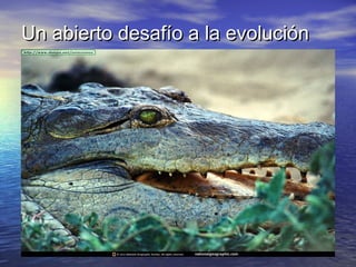 Un abierto desafío a la evoluciónUn abierto desafío a la evolución
 