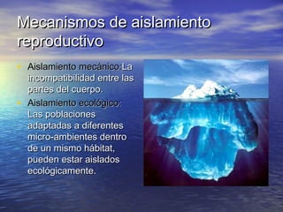 Mecanismos de aislamientoMecanismos de aislamiento
reproductivoreproductivo
• AislamientoAislamiento mecánico:mecánico:LaLa
incompatibilidad entre lasincompatibilidad entre las
partes del cuerpo.partes del cuerpo.
• Aislamiento ecológico:Aislamiento ecológico:
Las poblacionesLas poblaciones
adaptadas a diferentesadaptadas a diferentes
micro-ambientes dentromicro-ambientes dentro
de un mismo hábitat,de un mismo hábitat,
pueden estar aisladospueden estar aislados
ecológicamente.ecológicamente.
 