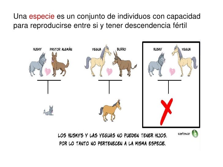 Especiaci n Especiaci n
