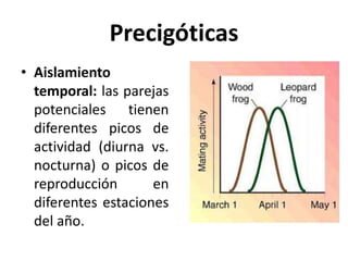 Precigóticas
• Aislamiento
temporal: las parejas
potenciales tienen
diferentes picos de
actividad (diurna vs.
nocturna) o picos de
reproducción en
diferentes estaciones
del año.
 